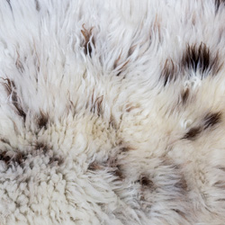 Click to see All Faux fur/Fleece